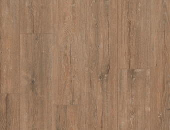 Forest Oak laminaatvloer Click – lange plank